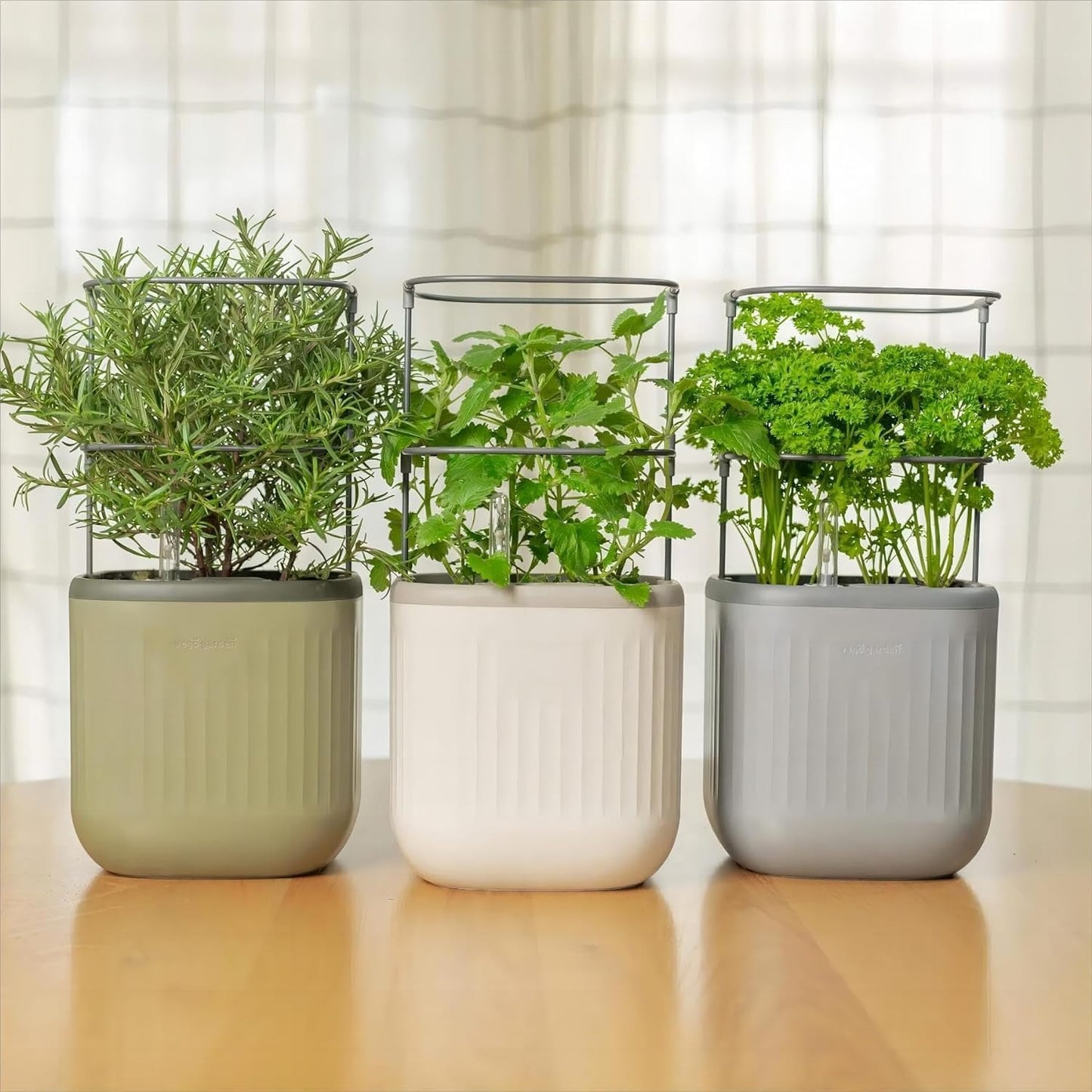 Mini Indoor Planter with Self-Watering Trellis for Herbs, Climbing Vegetables, Flowers, Mint, Plants, Cage, Creamy White