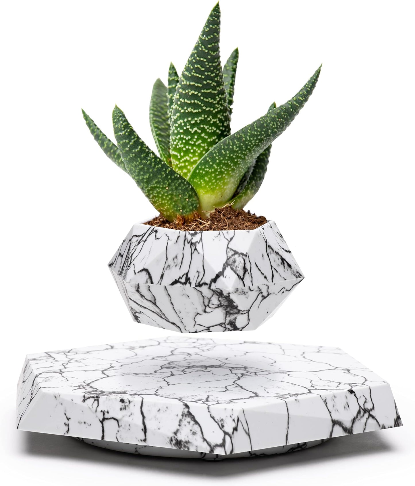 BandD Floating Planter - Levitating Planter for Succulents, Air Bonsai, and Air Plants. Floating Planter for Home, Office, and Desktop Decor. Magnetic Levitating Floating Display. (Black)