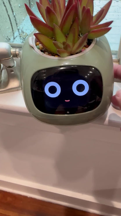 Masdio Smart flower pots, with artificial intelligence, weather temperature display and numerous expressive animations based on the environment, for interior decoration,