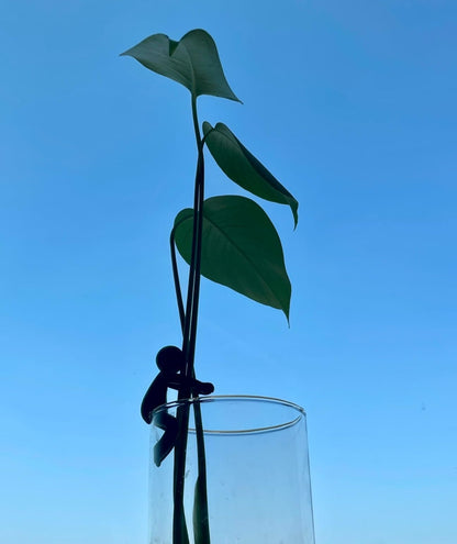 Leafy: Plant Propagation Companion; Plant Support for Shoots, Stems, Buds, and Cuttings; 3 Beautiful Plant Supports for a Plant Propagation Station or Garden