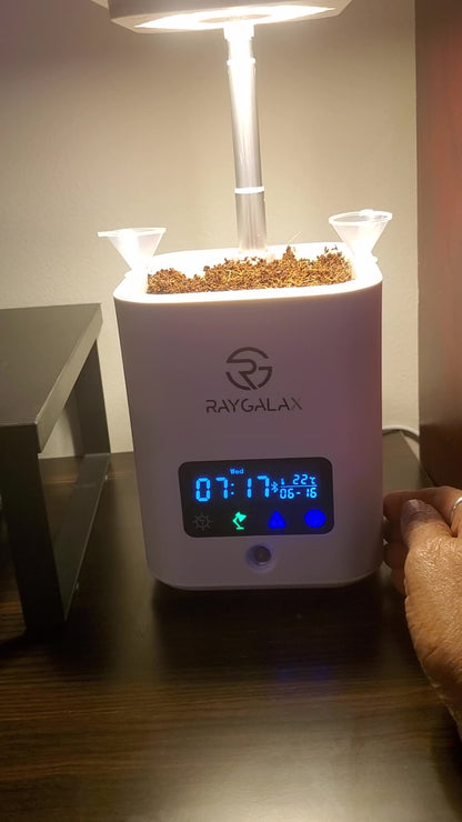 Smart Planter Pot for Indoor Plants, 4x4 Inch Self-Watering Pots, Indoor Garden Grow Light with LED Table Lamp, Automatic Humidifier, Kit