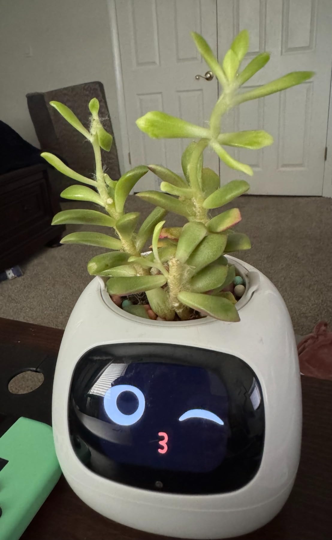 Masdio Smart flower pots, with artificial intelligence, weather temperature display and numerous expressive animations based on the environment, for interior decoration,