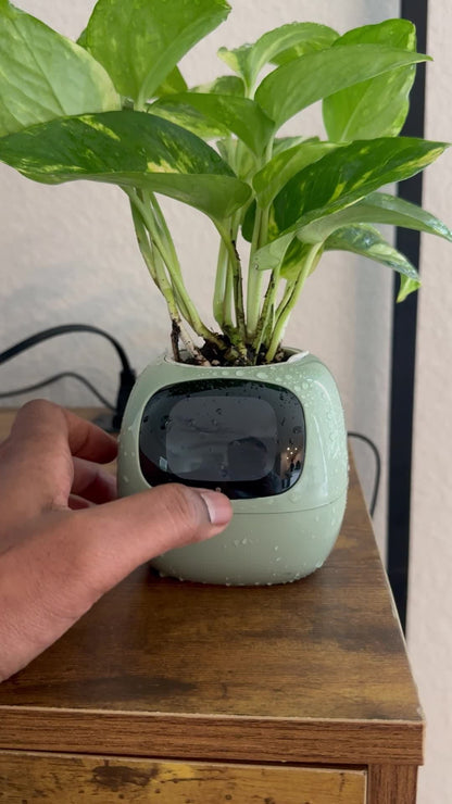 Masdio Smart flower pots, with artificial intelligence, weather temperature display and numerous expressive animations based on the environment, for interior decoration,