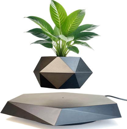 BandD Floating Planter - Levitating Planter for Succulents, Air Bonsai, and Air Plants. Floating Planter for Home, Office, and Desktop Decor. Magnetic Levitating Floating Display. (Black)