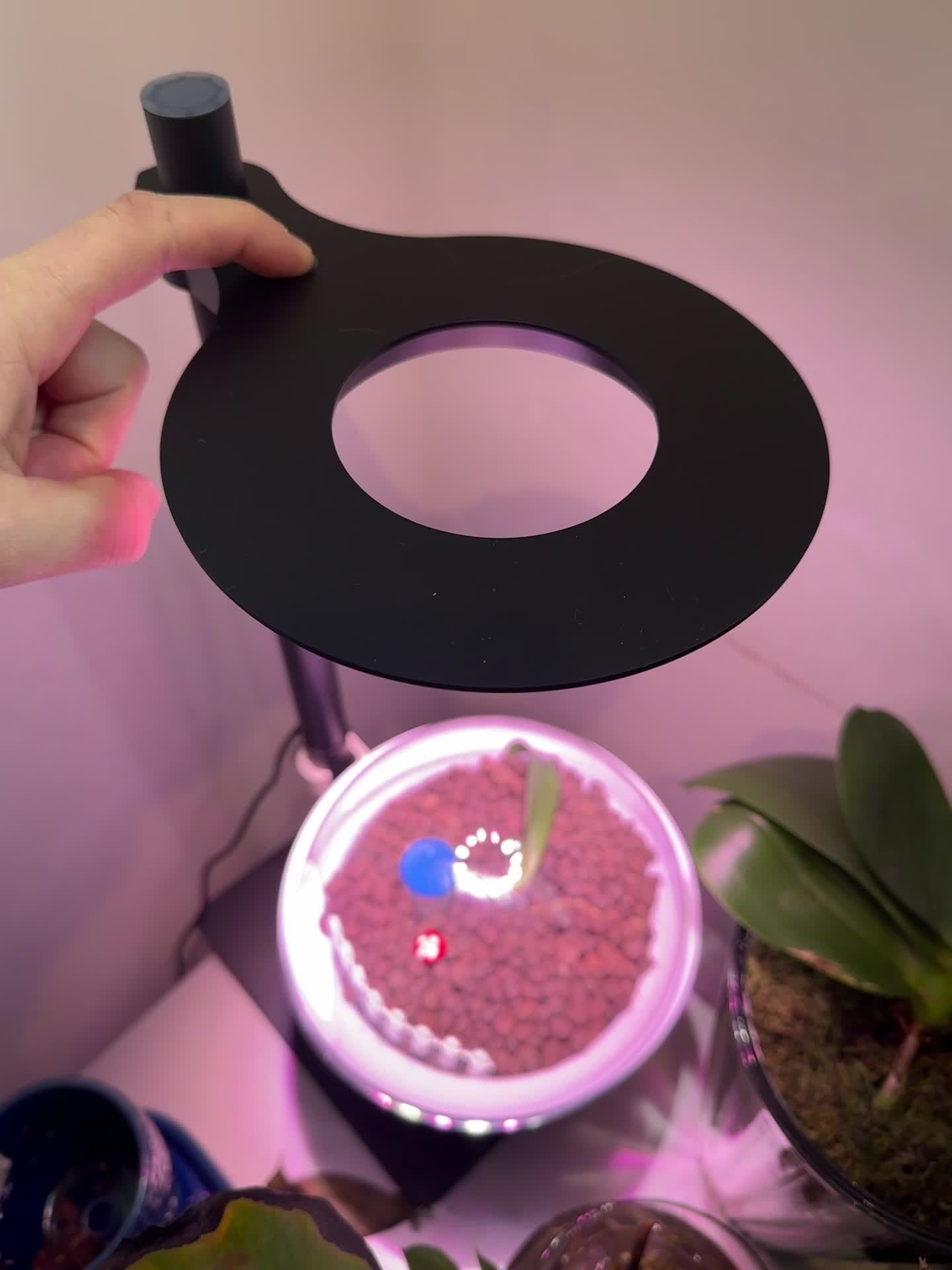 Smart Venus Terrarium Kit with Metal Stand, Self-Watering Planters for Indoor Plants, Smart Planter with Grow Light and Timer for Succulents, Herbs, and Greenery