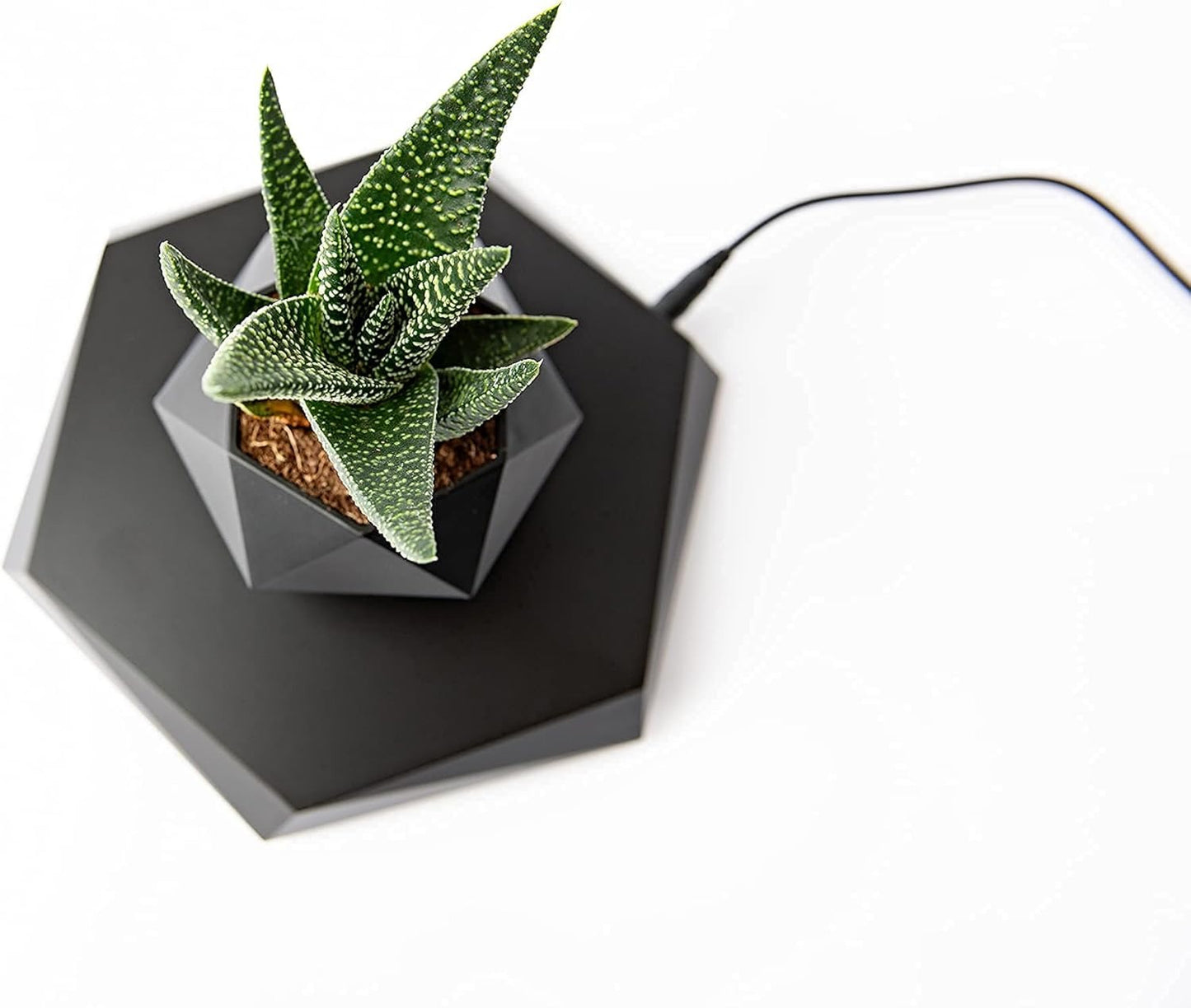 BandD Floating Planter - Levitating Planter for Succulents, Air Bonsai, and Air Plants. Floating Planter for Home, Office, and Desktop Decor. Magnetic Levitating Floating Display. (Black)