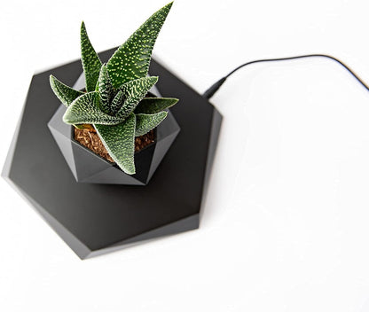 BandD Floating Planter - Levitating Planter for Succulents, Air Bonsai, and Air Plants. Floating Planter for Home, Office, and Desktop Decor. Magnetic Levitating Floating Display. (Black)