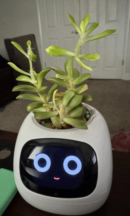 Masdio Smart flower pots, with artificial intelligence, weather temperature display and numerous expressive animations based on the environment, for interior decoration,