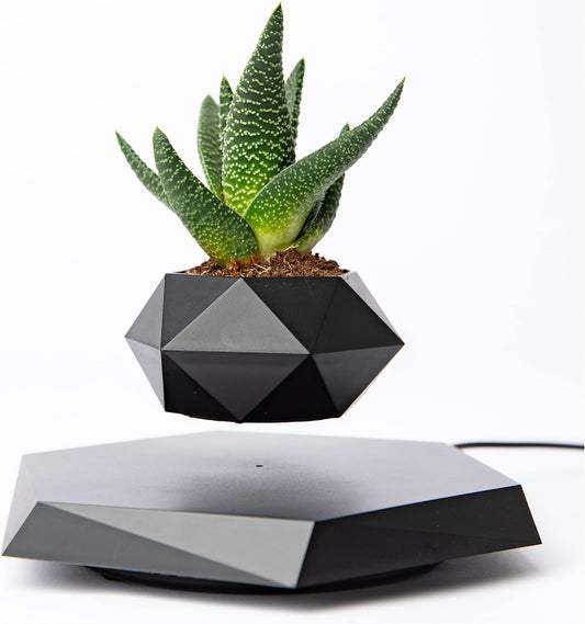 BandD Floating Planter - Levitating Planter for Succulents, Air Bonsai, and Air Plants. Floating Planter for Home, Office, and Desktop Decor. Magnetic Levitating Floating Display. (Black)