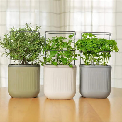 Mini Indoor Planter with Self-Watering Trellis for Herbs, Climbing Vegetables, Flowers, Mint, Plants, Cage, Creamy White
