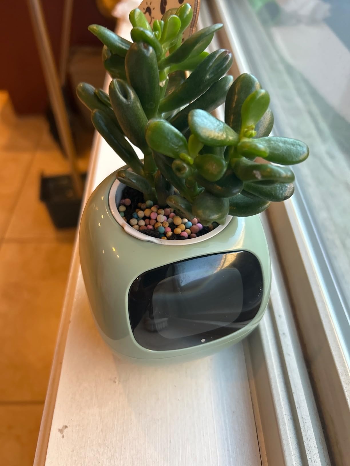 Masdio Smart flower pots, with artificial intelligence, weather temperature display and numerous expressive animations based on the environment, for interior decoration,