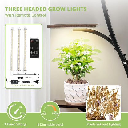 Indoor Plant Stand with Grow Lights, 62 Inch Plant Stand with Locking Wheels, 7 Tier Plant Shelf, Adjustable Brightness with Remote Control, Drain Hole