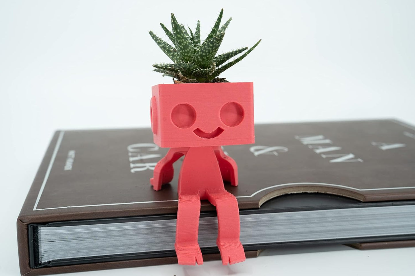 Shelf Sitter Robot Planter, Robbie the Robot Planter, Succulent Pot (Large, Black)