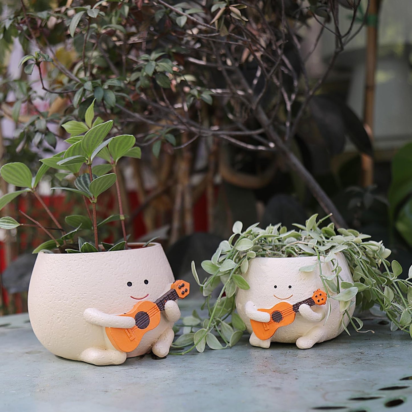 Face Plant Pots for Indoor Plants, Cute Guitar Planter, Smiley Face Planters