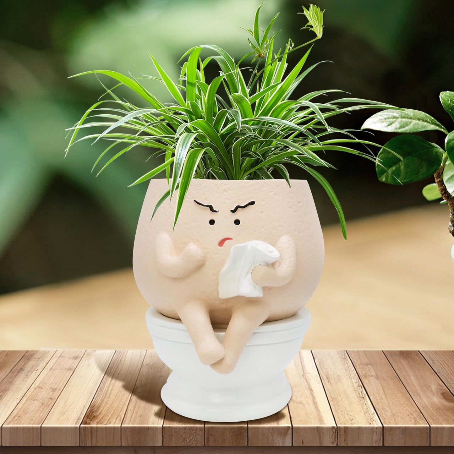 Funny Face Planters Toilet Pots for Indoor Plants, Cute Face Head Planters, Quirky Planters for Succulents, Ideal Gift for Home, Office, Christmas