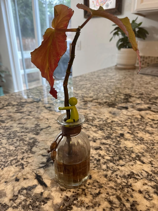 Leafy: Plant Propagation Companion; Plant Support for Shoots, Stems, Buds, and Cuttings; 3 Beautiful Plant Supports for a Plant Propagation Station or Garden