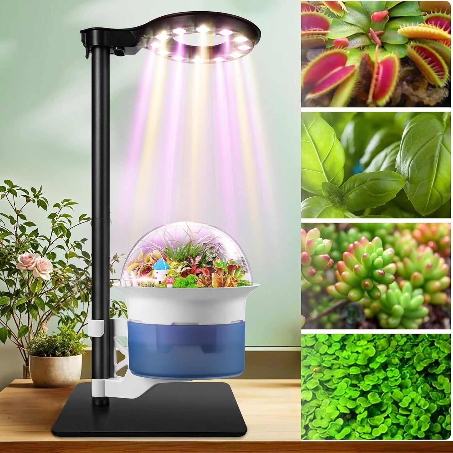 Smart Venus Terrarium Kit with Metal Stand, Self-Watering Planters for Indoor Plants, Smart Planter with Grow Light and Timer for Succulents, Herbs, and Greenery