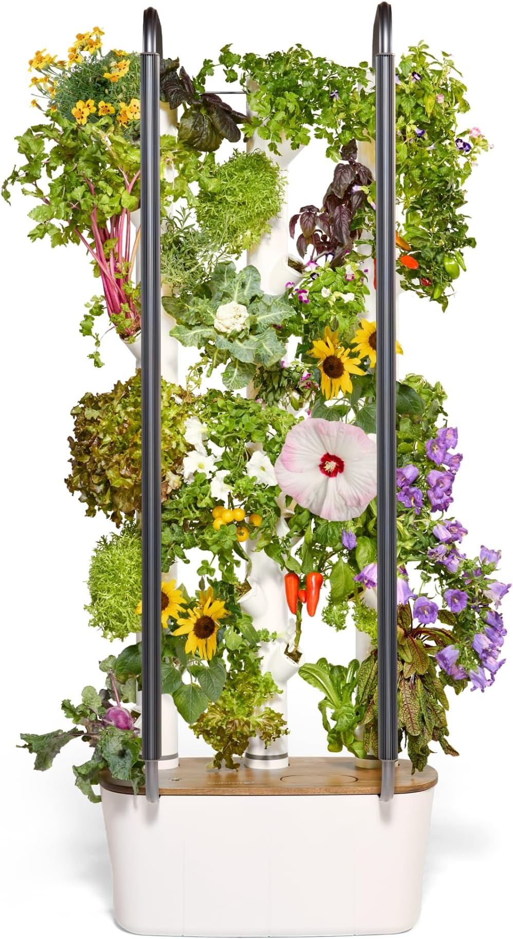 Gardyn Studio Hydroponics - Indoor Vertical Garden Planter & Growing System Kit | Smart Herb Garden | Includes 16 Non-GMO Indoor Plants, Herbs, Vegetables & LED Grow Light