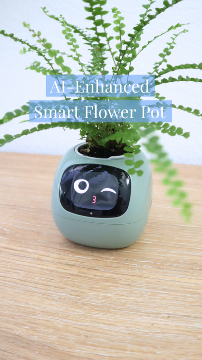 Masdio Smart flower pots, with artificial intelligence, weather temperature display and numerous expressive animations based on the environment, for interior decoration,